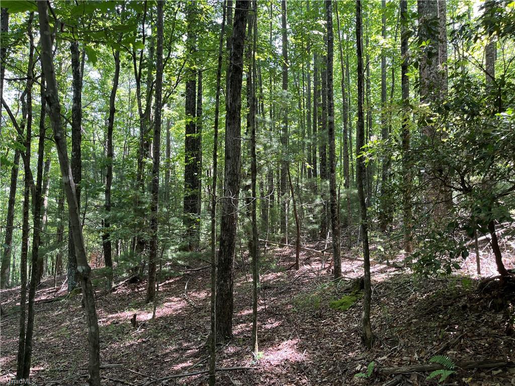 000 Rawhide Road, Millers Creek, North Carolina image 9