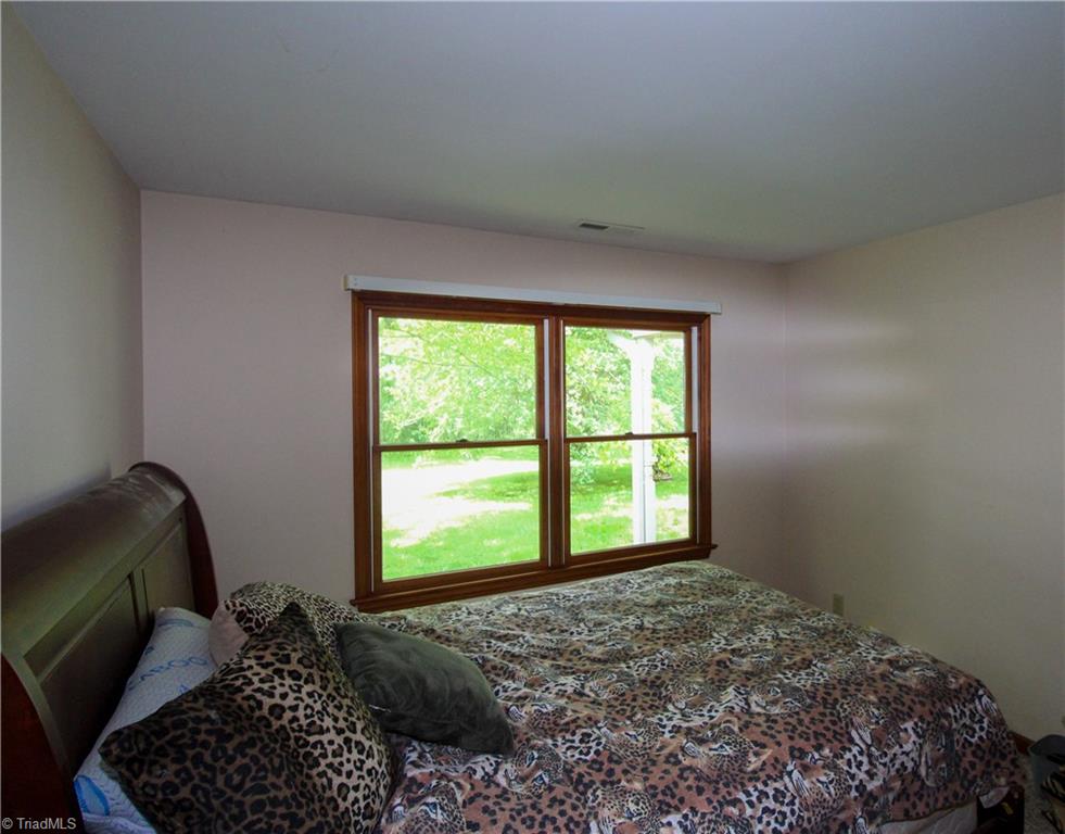 1125 Apple Blossom Lane, Westfield, North Carolina image 13