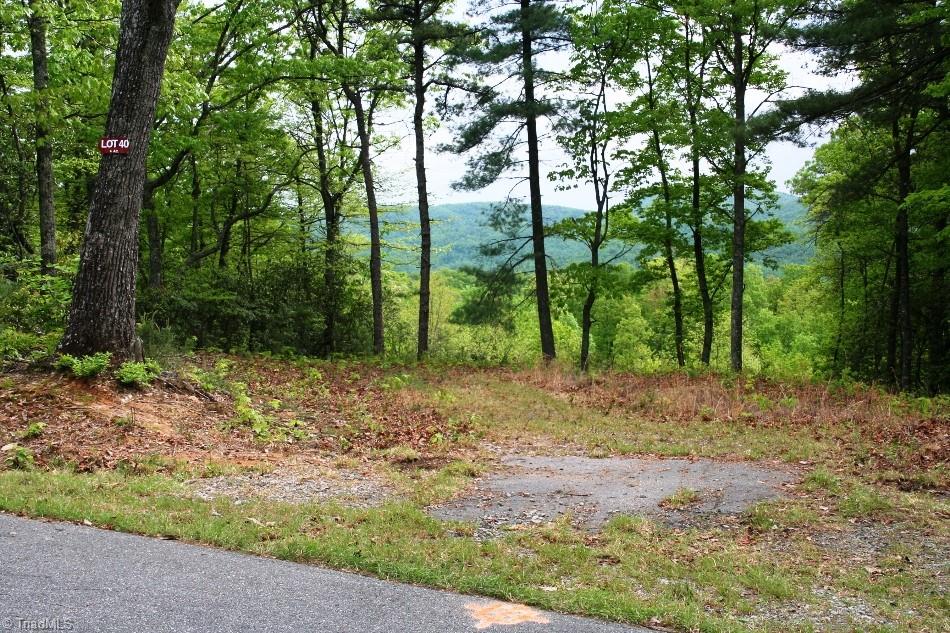 40 Elk Ridge Road, Ferguson, North Carolina image 2