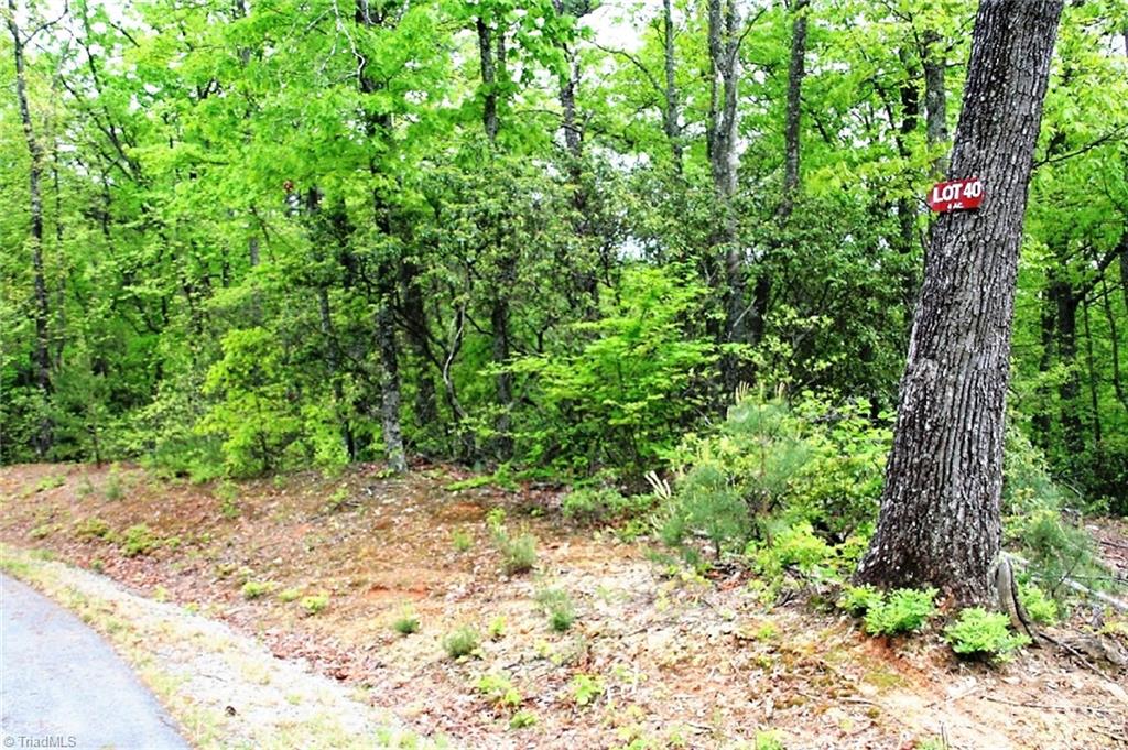 40 Elk Ridge Road, Ferguson, North Carolina image 4