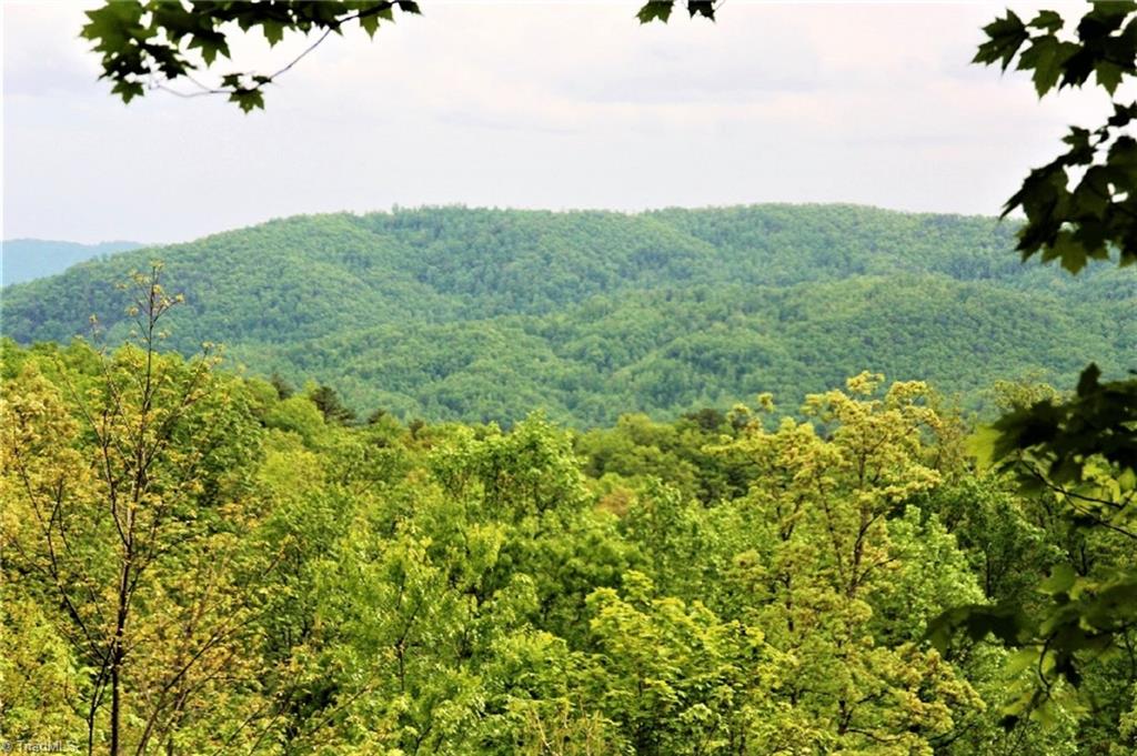 40 Elk Ridge Road, Ferguson, North Carolina image 3