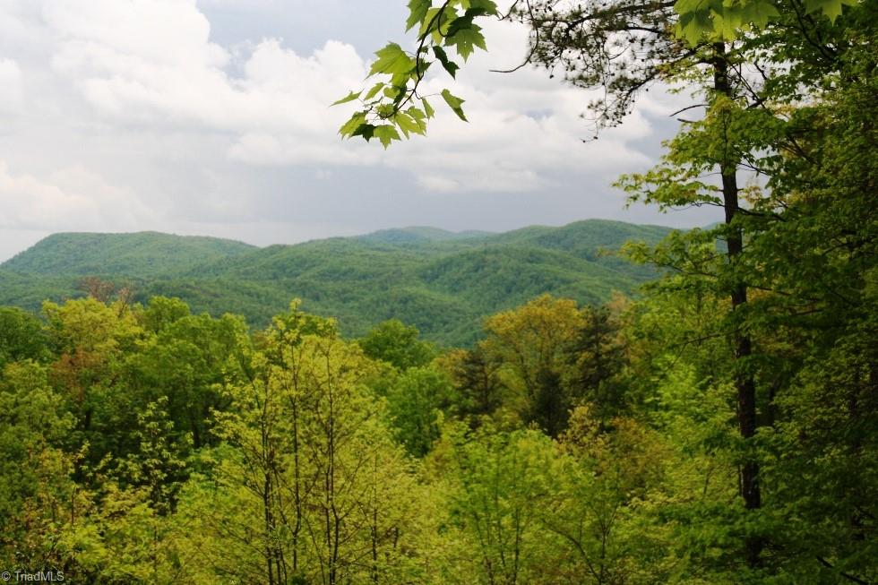40 Elk Ridge Road, Ferguson, North Carolina image 1