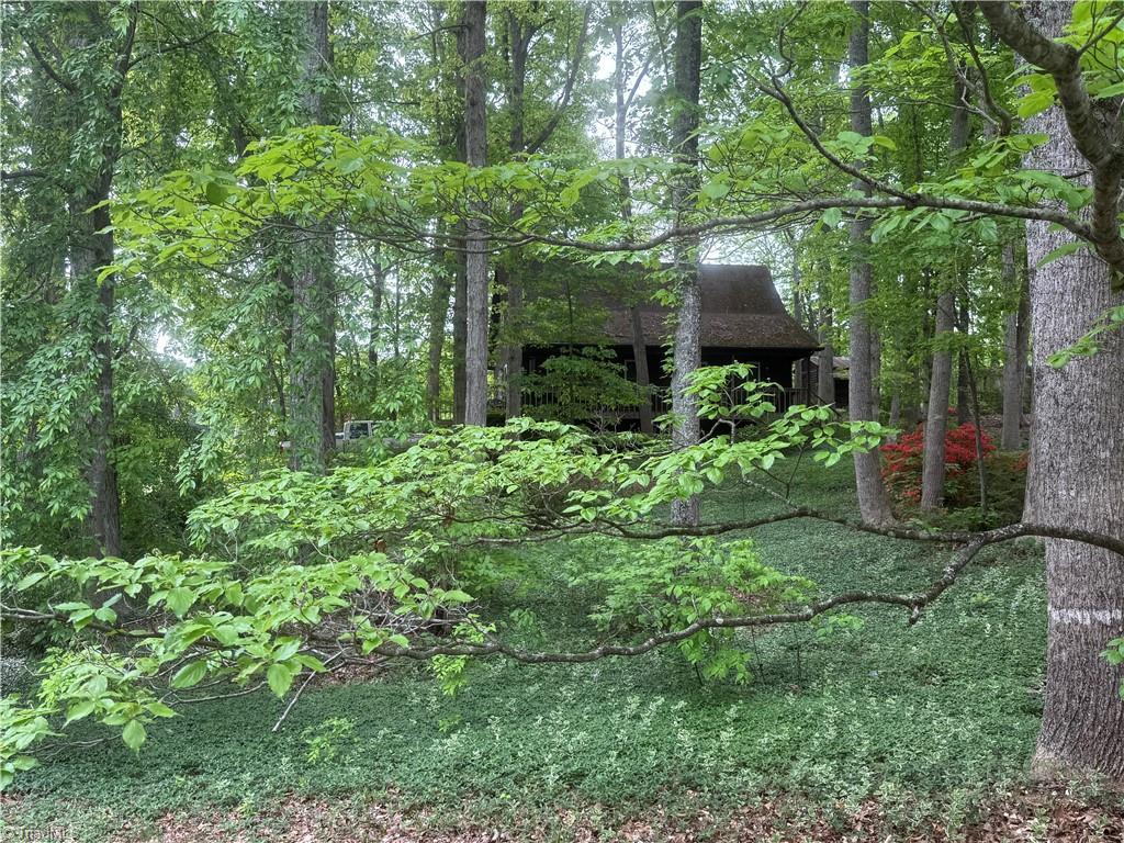 172 Amberly Drive, Lexington, North Carolina image 25