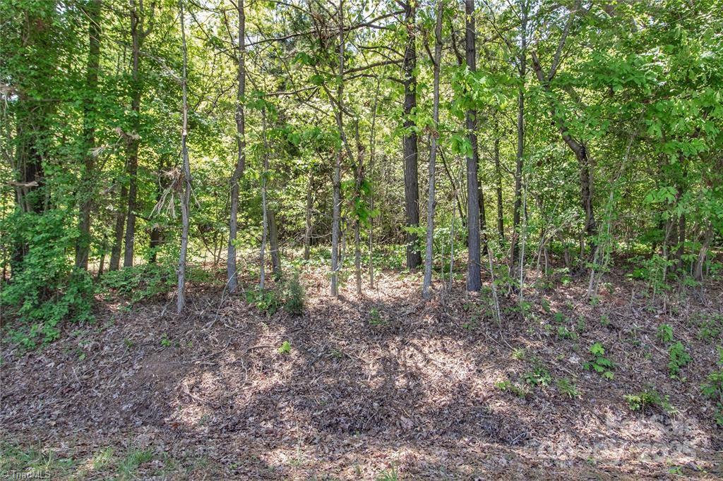 4271 Candlewood Drive, Sherrills Ford, North Carolina image 38
