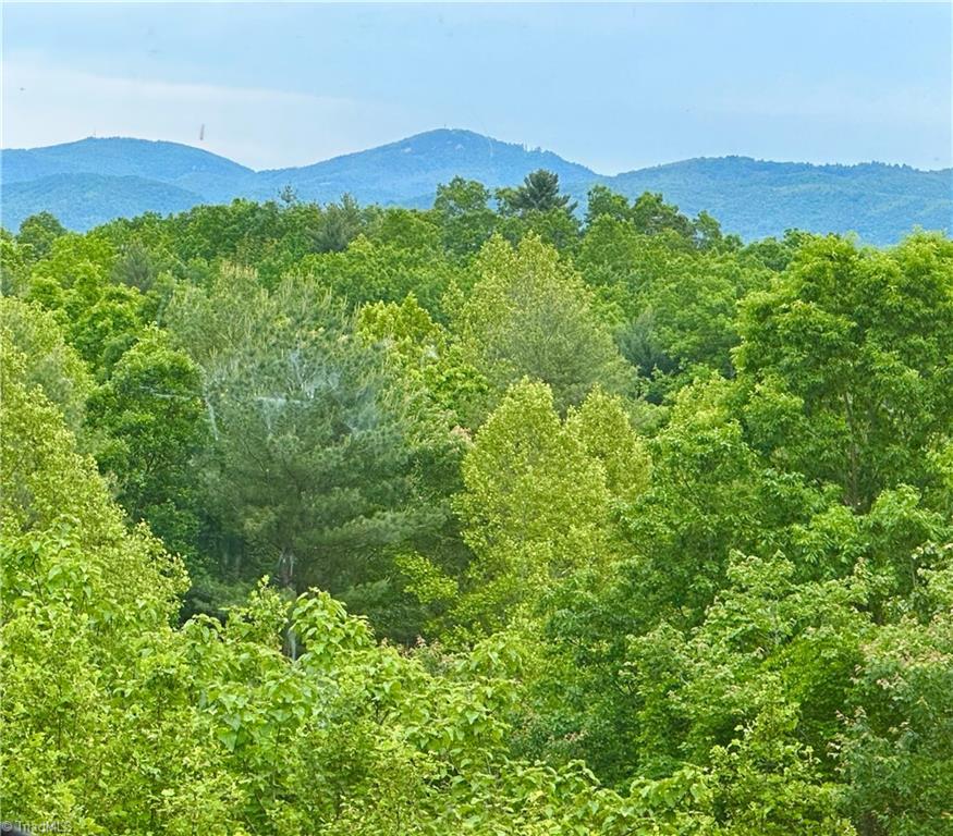 405 Sweetwater Road, Boomer, North Carolina image 2