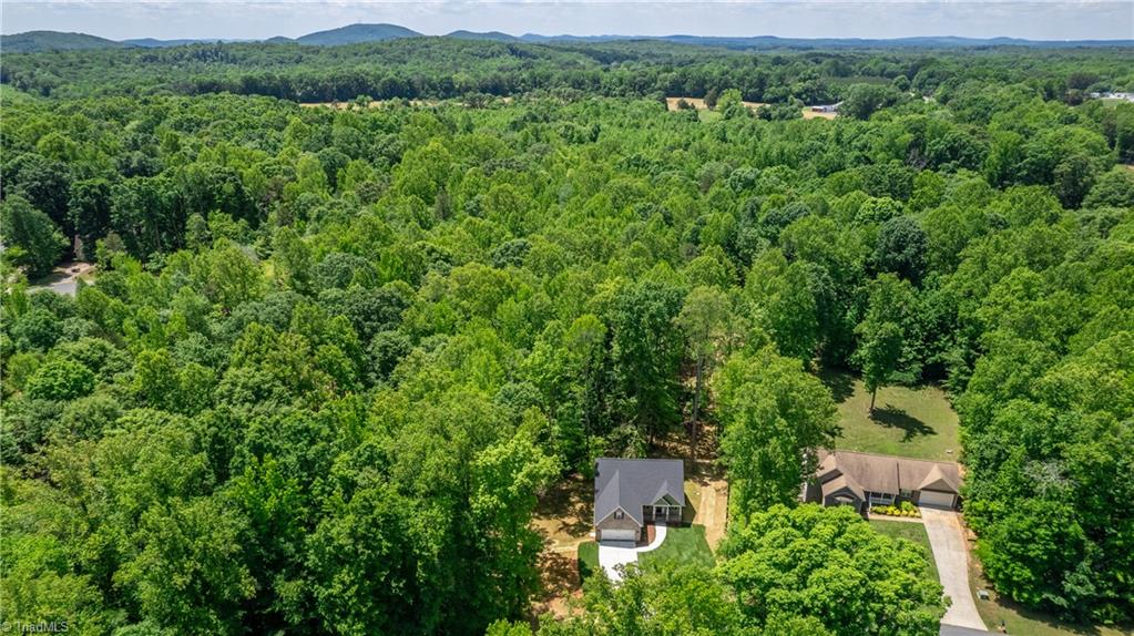 2869 Hearthwood Road, Sophia, North Carolina image 37