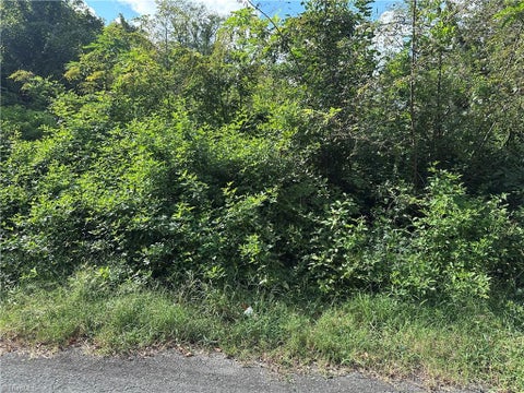 Vacant Land For Sale - 1022 S Salisbury Street<br/> Lexington, NC 27292