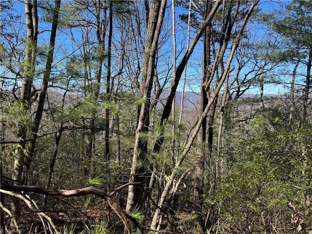 Lot 10 Overland Trail, Hays, North Carolina image 10