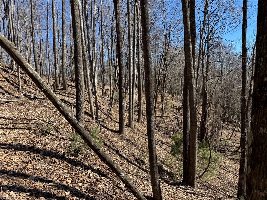 Lot 10 Overland Trail, Hays, North Carolina image 12