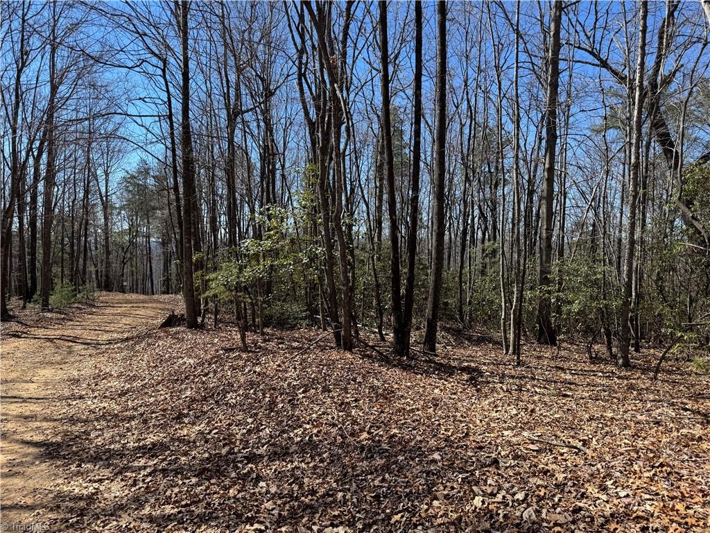 Lot 10 Overland Trail, Hays, North Carolina image 1