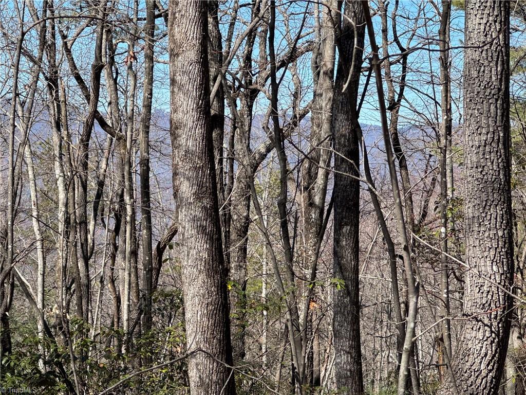 Lot 10 Overland Trail, Hays, North Carolina image 4