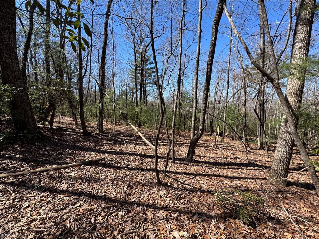Lot 10 Overland Trail, Hays, North Carolina image 8