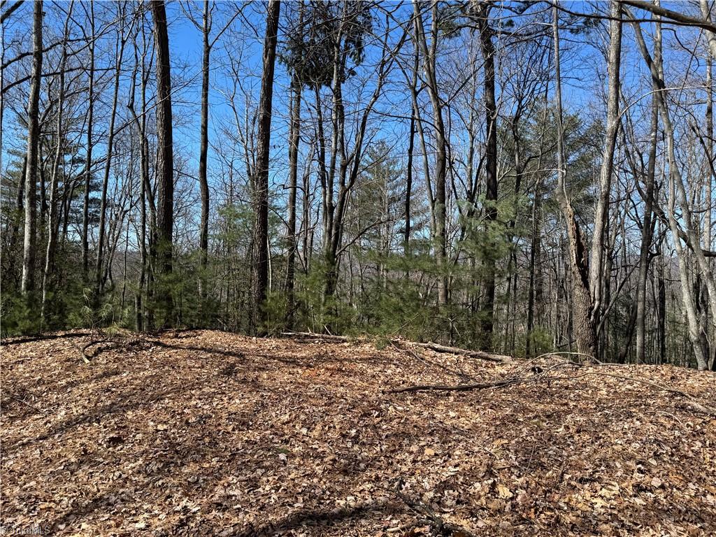 Lot 10 Overland Trail, Hays, North Carolina image 6