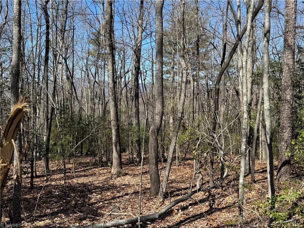 Lot 10 Overland Trail, Hays, North Carolina image 3