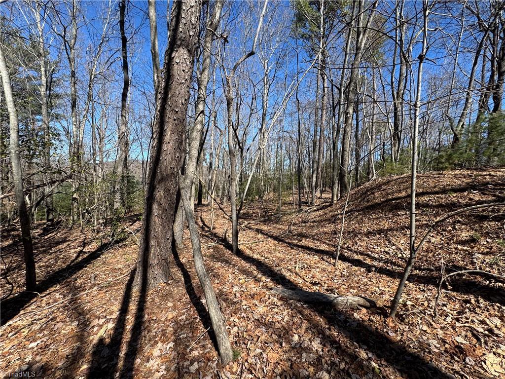 Lot 10 Overland Trail, Hays, North Carolina image 7