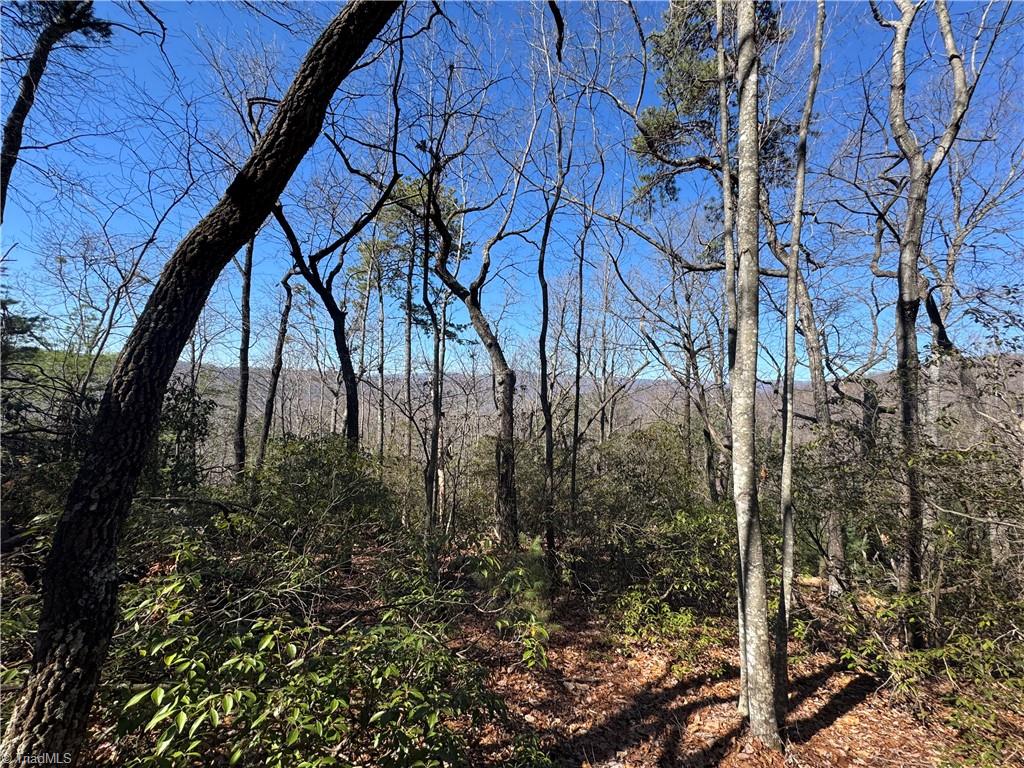 Lot 10 Overland Trail, Hays, North Carolina image 2