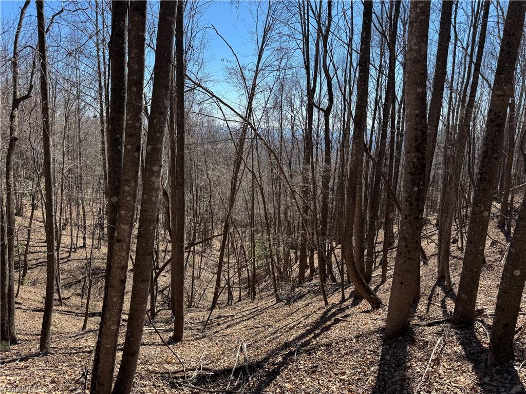 Lot 10 Overland Trail, Hays, North Carolina image 11