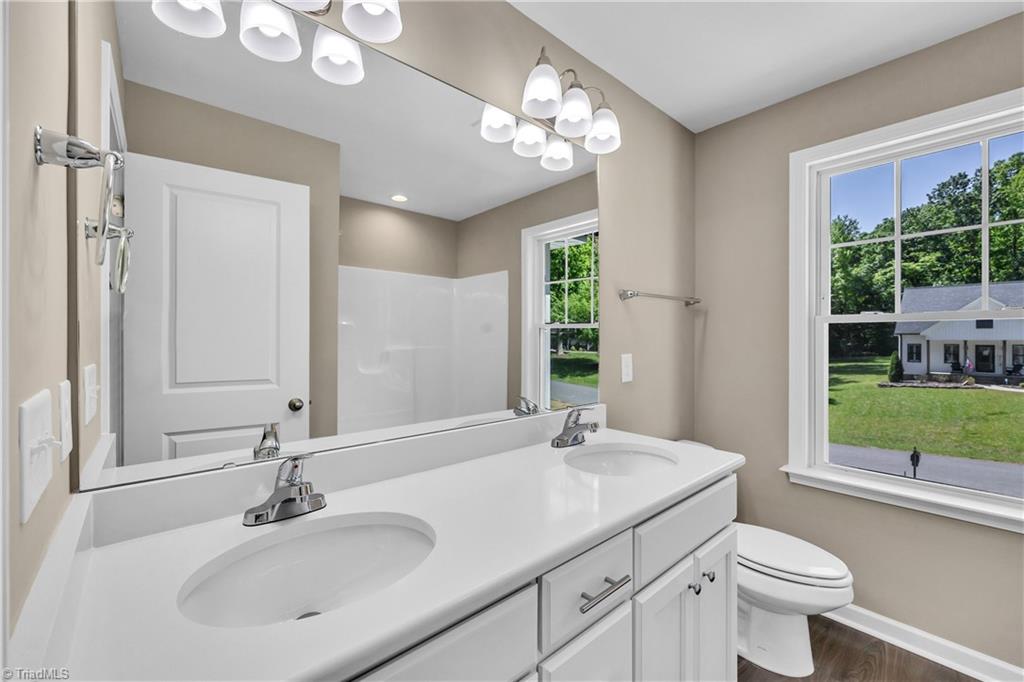 3013 Wesley Farm Lane, Sophia, North Carolina image 21