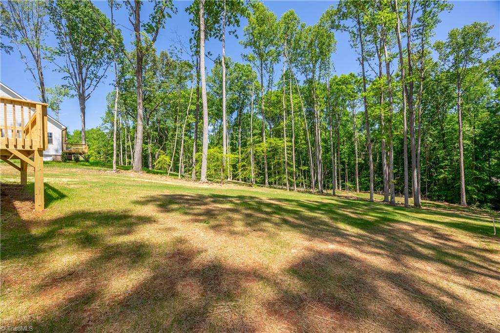 3013 Wesley Farm Lane, Sophia, North Carolina image 36