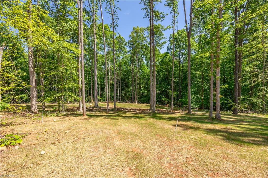 3013 Wesley Farm Lane, Sophia, North Carolina image 40