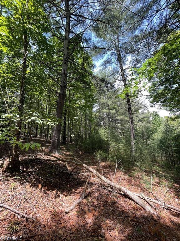 Lot 8 Overland Trail, Hays, North Carolina image 4