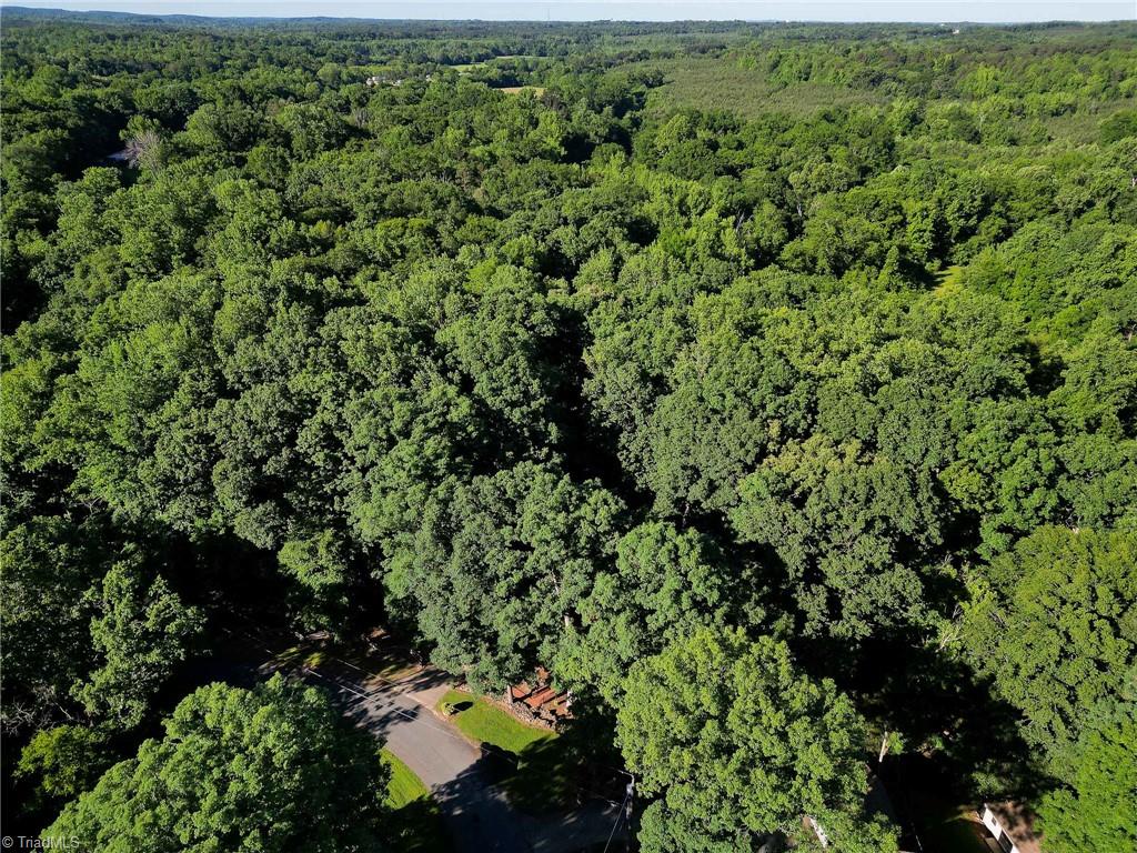 12 Echoview Circle, Lexington, North Carolina image 37