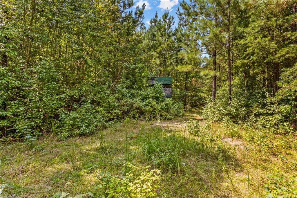 2710 Wyatt Grove Church Road, Richfield, North Carolina image 6