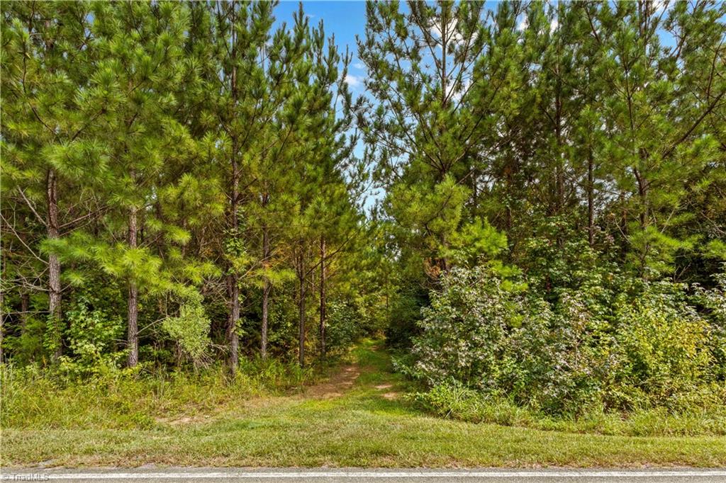 2710 Wyatt Grove Church Road, Richfield, North Carolina image 4