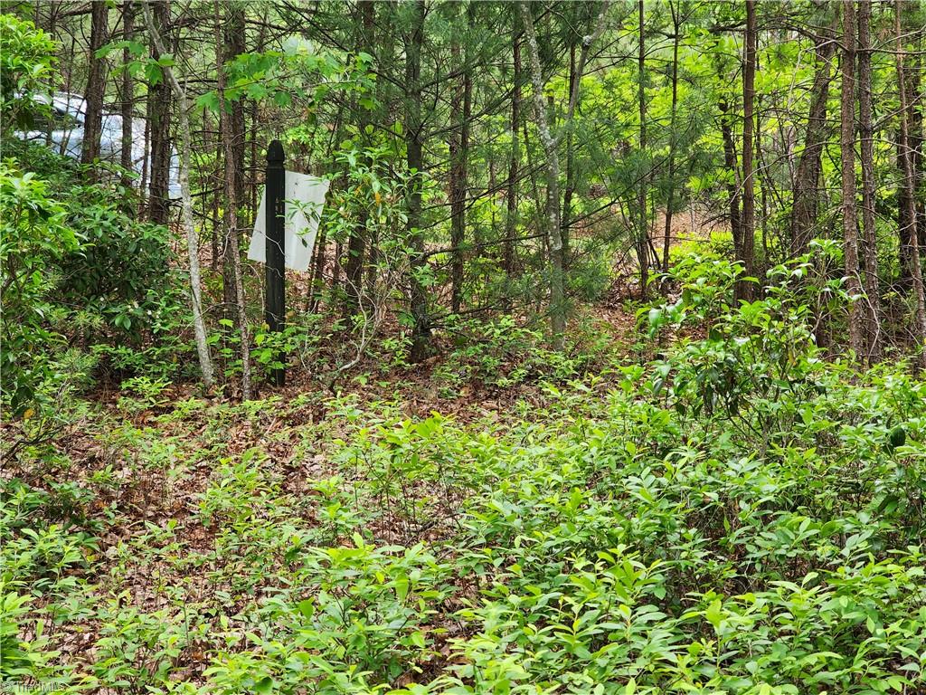 TBD Derby Chase Court, McGrady, North Carolina image 8