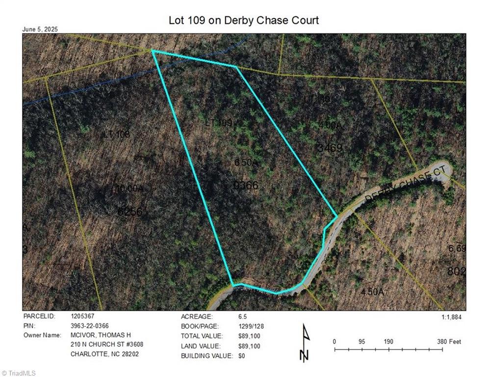 TBD Derby Chase Court, McGrady, North Carolina image 9
