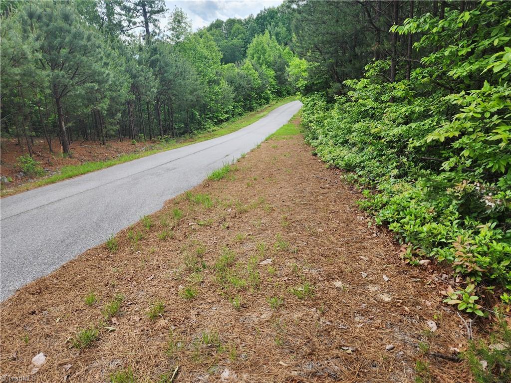TBD Derby Chase Court, McGrady, North Carolina image 1