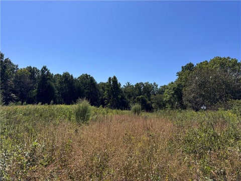 Vacant Land For Sale - 11218 Nc 268<br/> Elkin, NC 28621