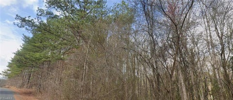 Vacant Land For Sale - Pine Tree Place<br/> Salisbury, NC 28144