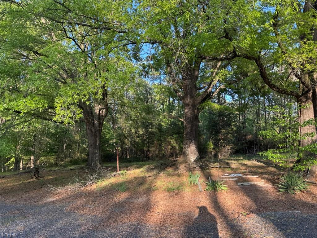 103 Hanna Street, Mayodan, North Carolina image 29