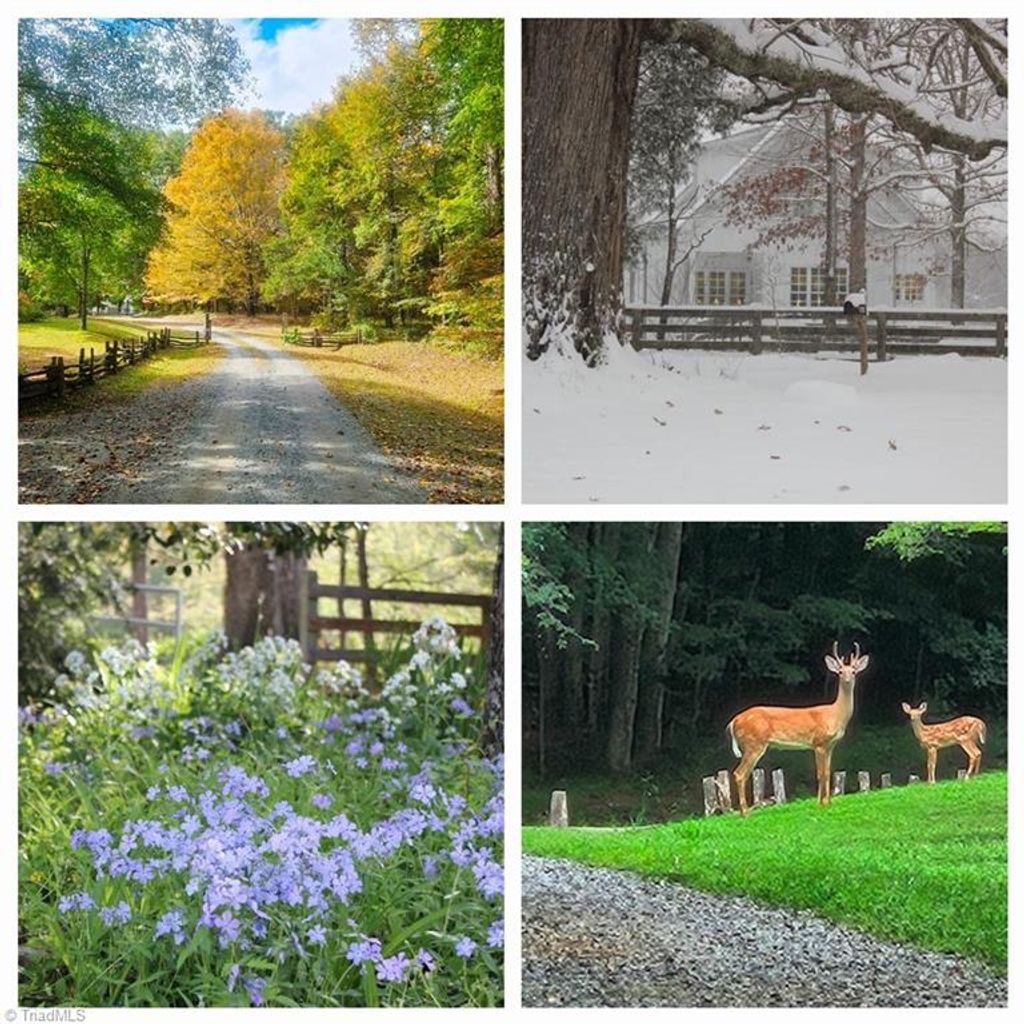 Photo of 469 Justamere Farm Road, Greensboro, NC 27455 (MLS # 1188532)