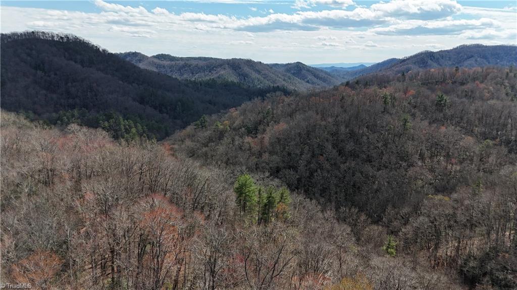 Globe Road, Lenoir, North Carolina image 9