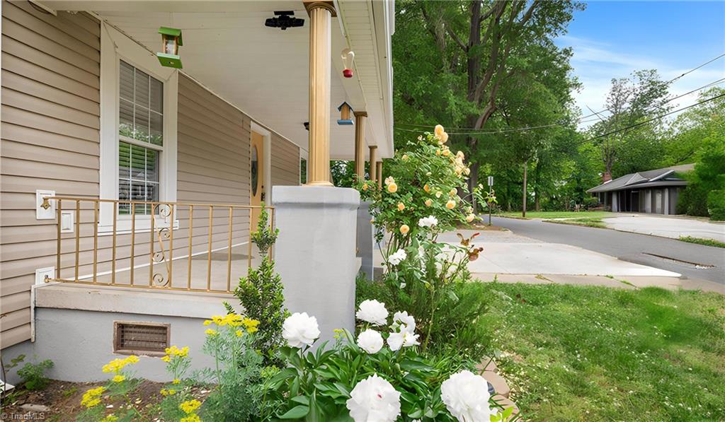 223 Hall Avenue, Burlington, North Carolina image 31