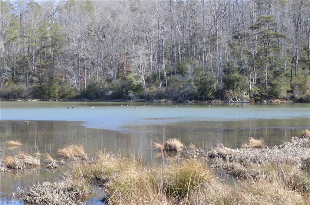 70 Acre East Tract - Nc Highway 89, Danbury, North Carolina image 8