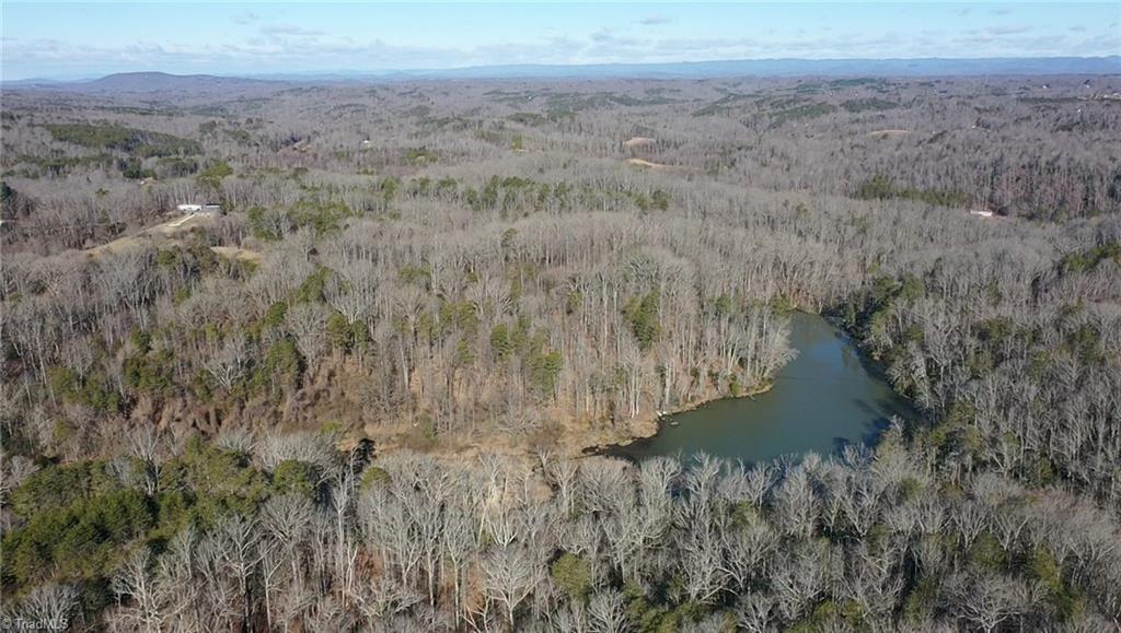 70 Acre East Tract - Nc Highway 89, Danbury, North Carolina image 32