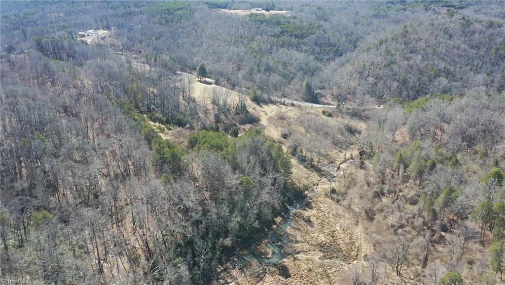 70 Acre East Tract - Nc Highway 89, Danbury, North Carolina image 34