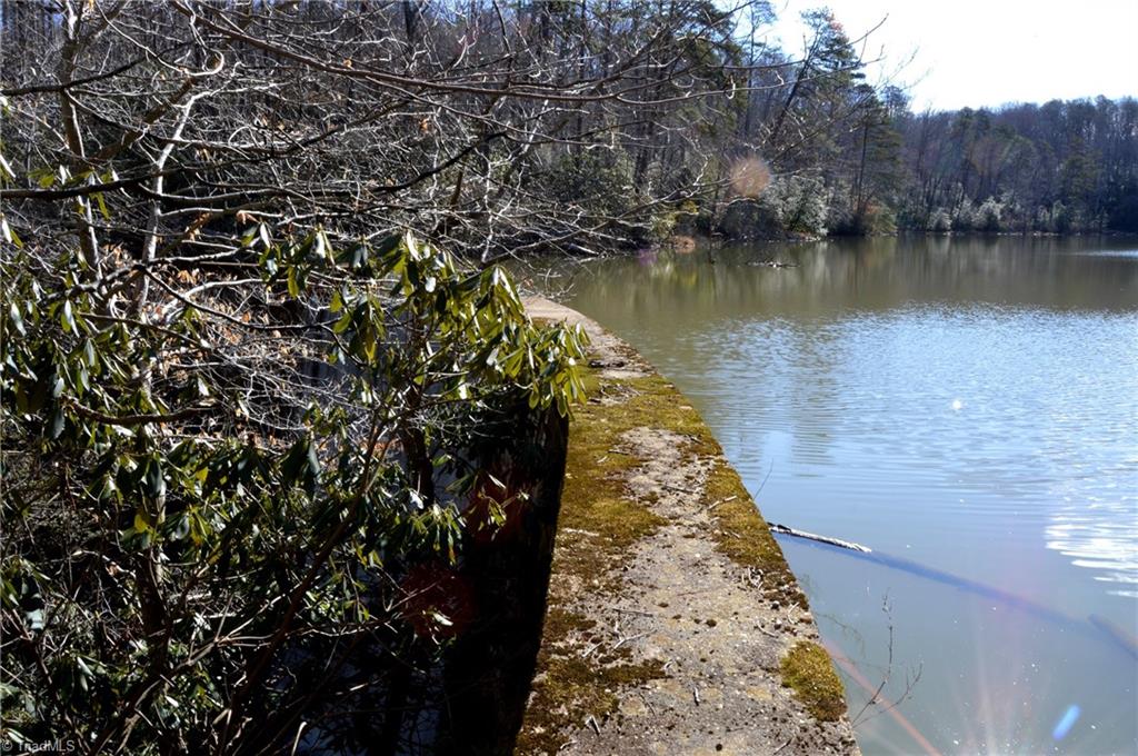 70 Acre East Tract - Nc Highway 89, Danbury, North Carolina image 18