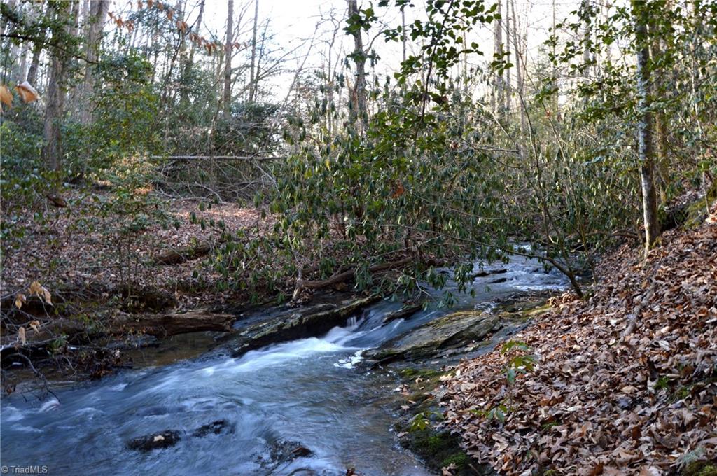 70 Acre East Tract - Nc Highway 89, Danbury, North Carolina image 1