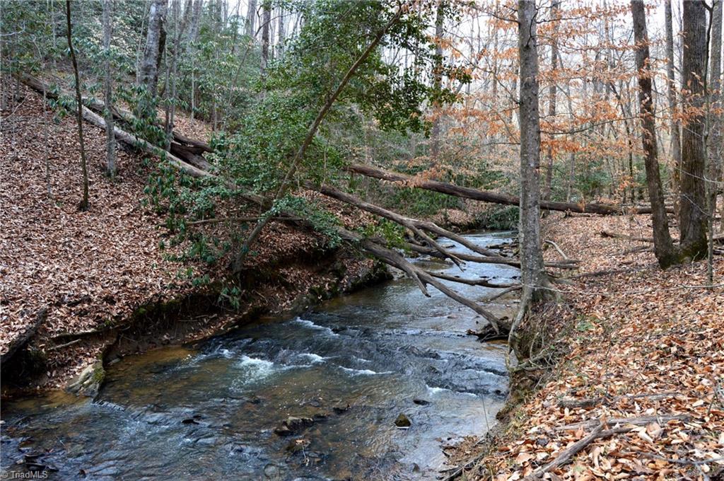 70 Acre East Tract - Nc Highway 89, Danbury, North Carolina image 23
