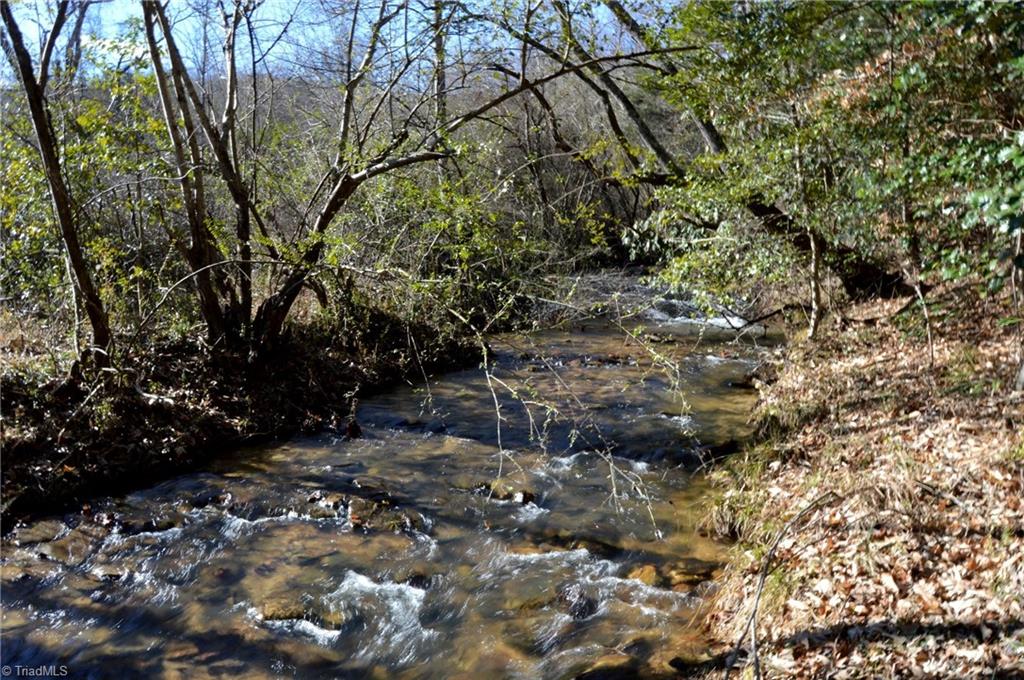 70 Acre East Tract - Nc Highway 89, Danbury, North Carolina image 4