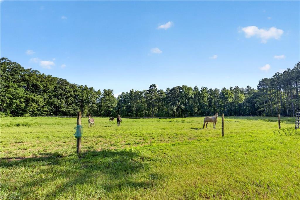7934 Chapel Hill Church Road, Denton, NC, 27239