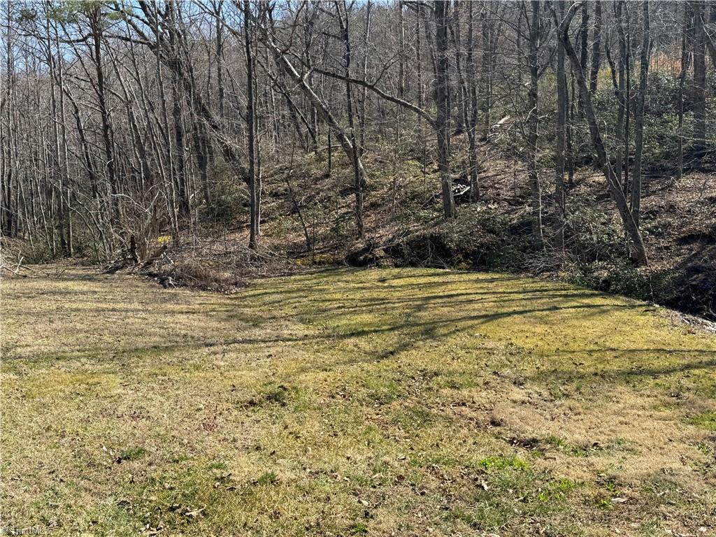 Ymca Camp Road, King, North Carolina image 14
