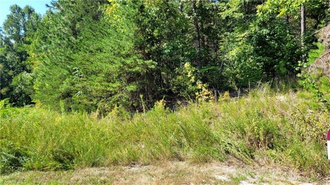 Vacant Land For Sale - 222 Kingfish Street<br/> Winston-Salem, NC 27107