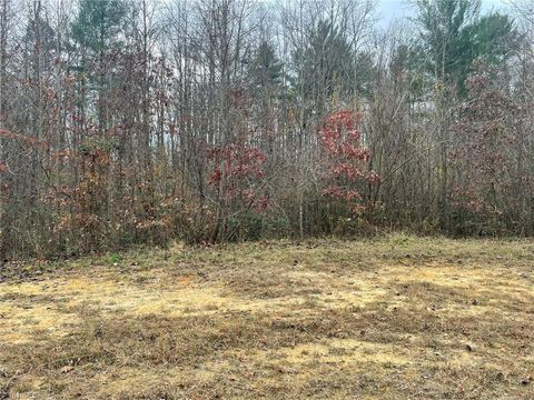 Vacant Land For Sale - BLOCK B Pulco Lane<br/> Ronda, NC 28670