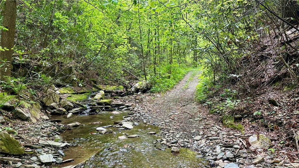000 N Old Nc Highway 16, Millers Creek, NC, 28651