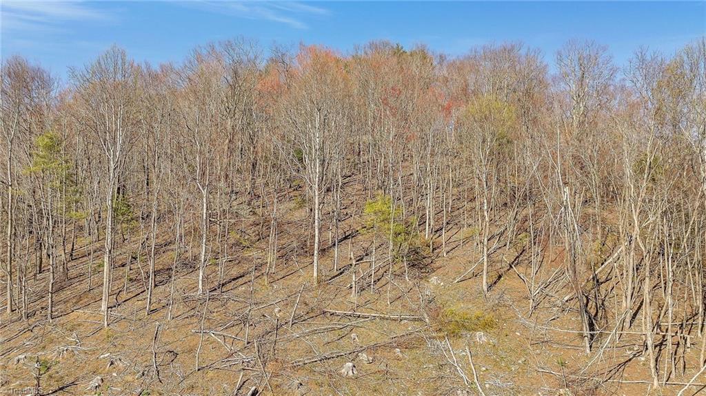 TBD Highlands Parkway, Mouth of Wilson, Virginia image 1